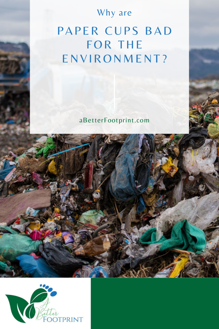 Why are paper cups bad for the environment? [ Detailed Answer ]
